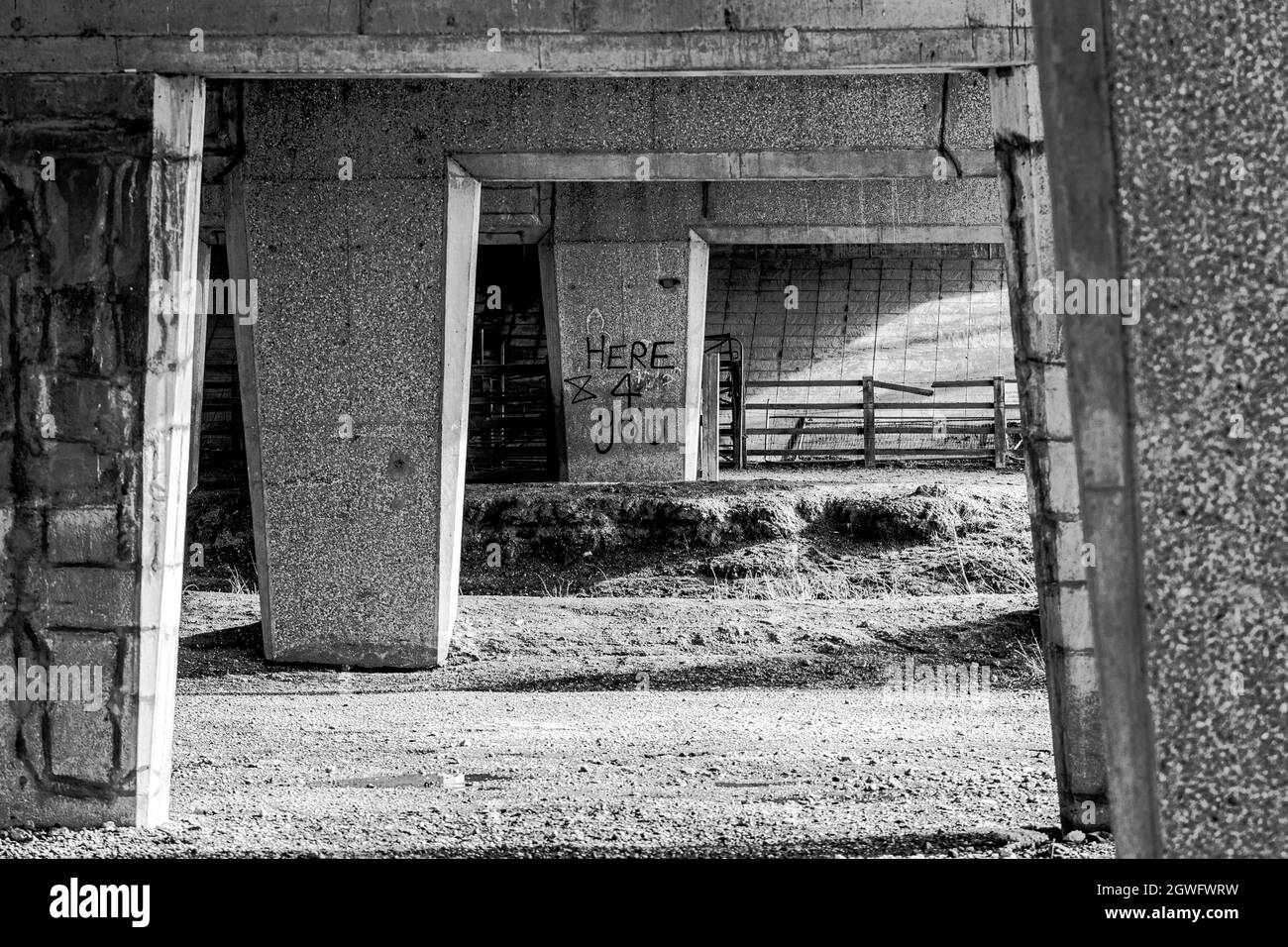 Looking through a seires of concrete supports under a road with graffiti saying 'Here 4 you' - monochrome Stock Photo