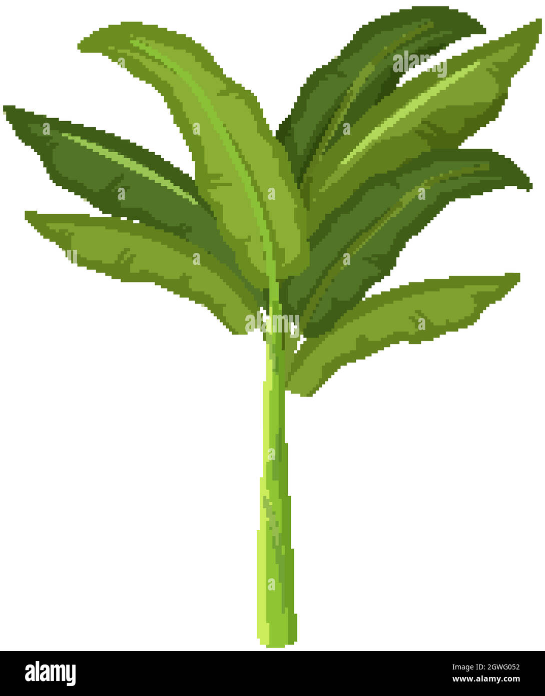 Banana Tree Drawing For Kids
