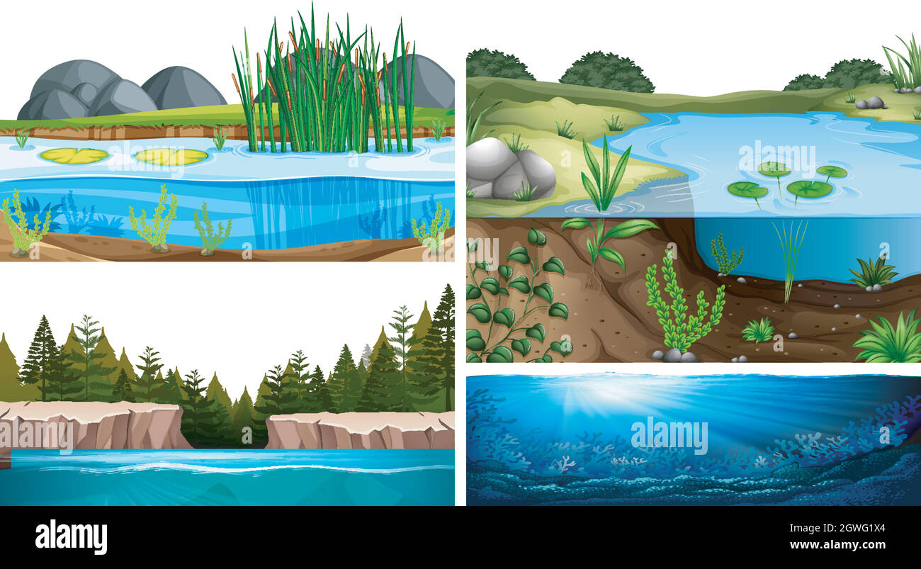Aquatic ecosystems with pond, lake, river Stock Vector