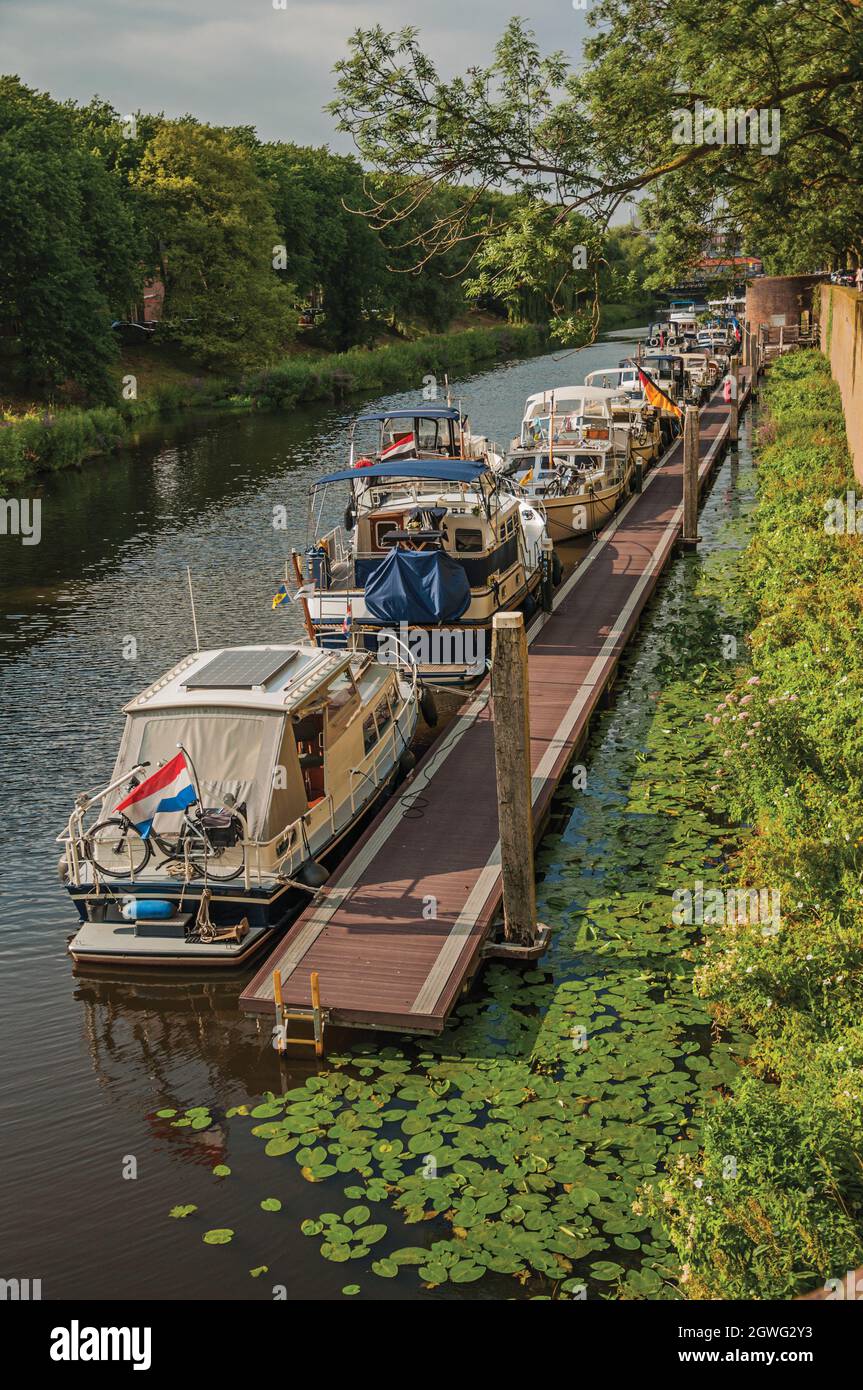 Boats Anchored In Pier On River At S-hertogenbosch. City With Huge Cultural Life In Netherlands. Stock Photo