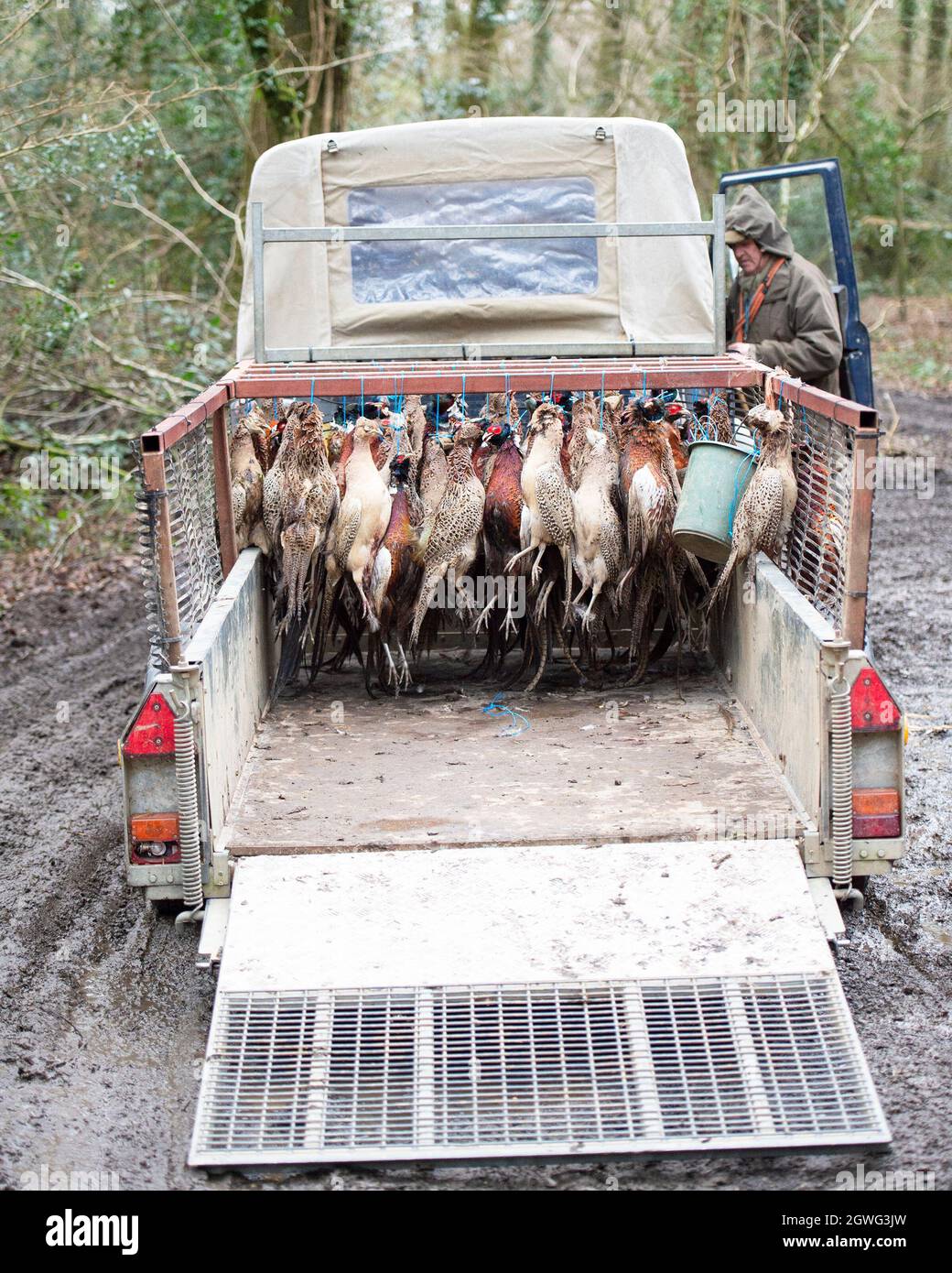 Game cart on a pheasant shoot Stock Photo