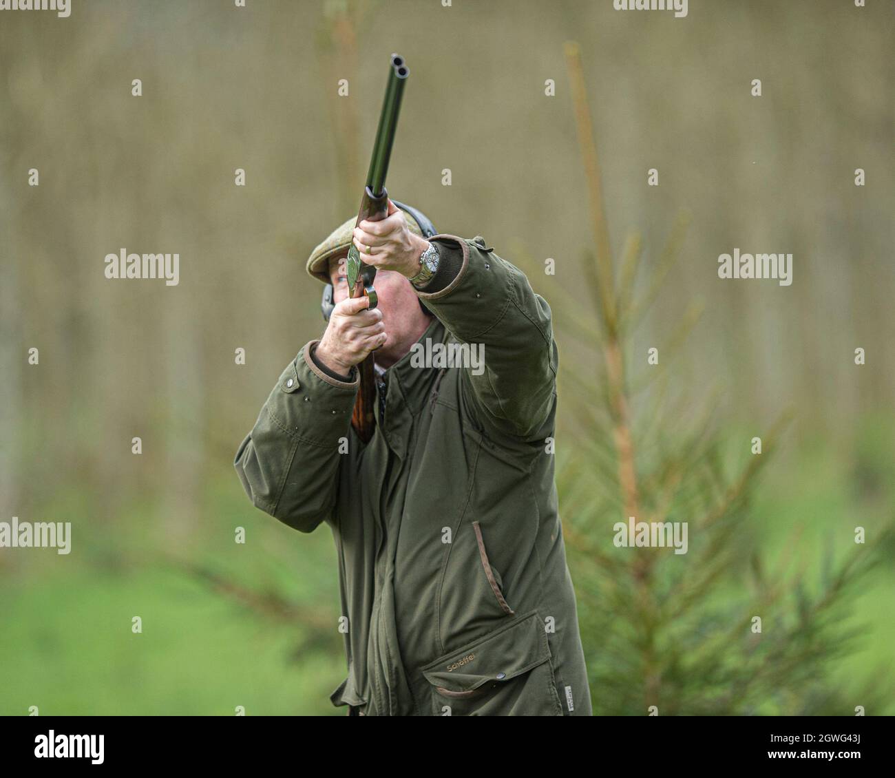 man shooting pheasants with shotgun Stock Photo