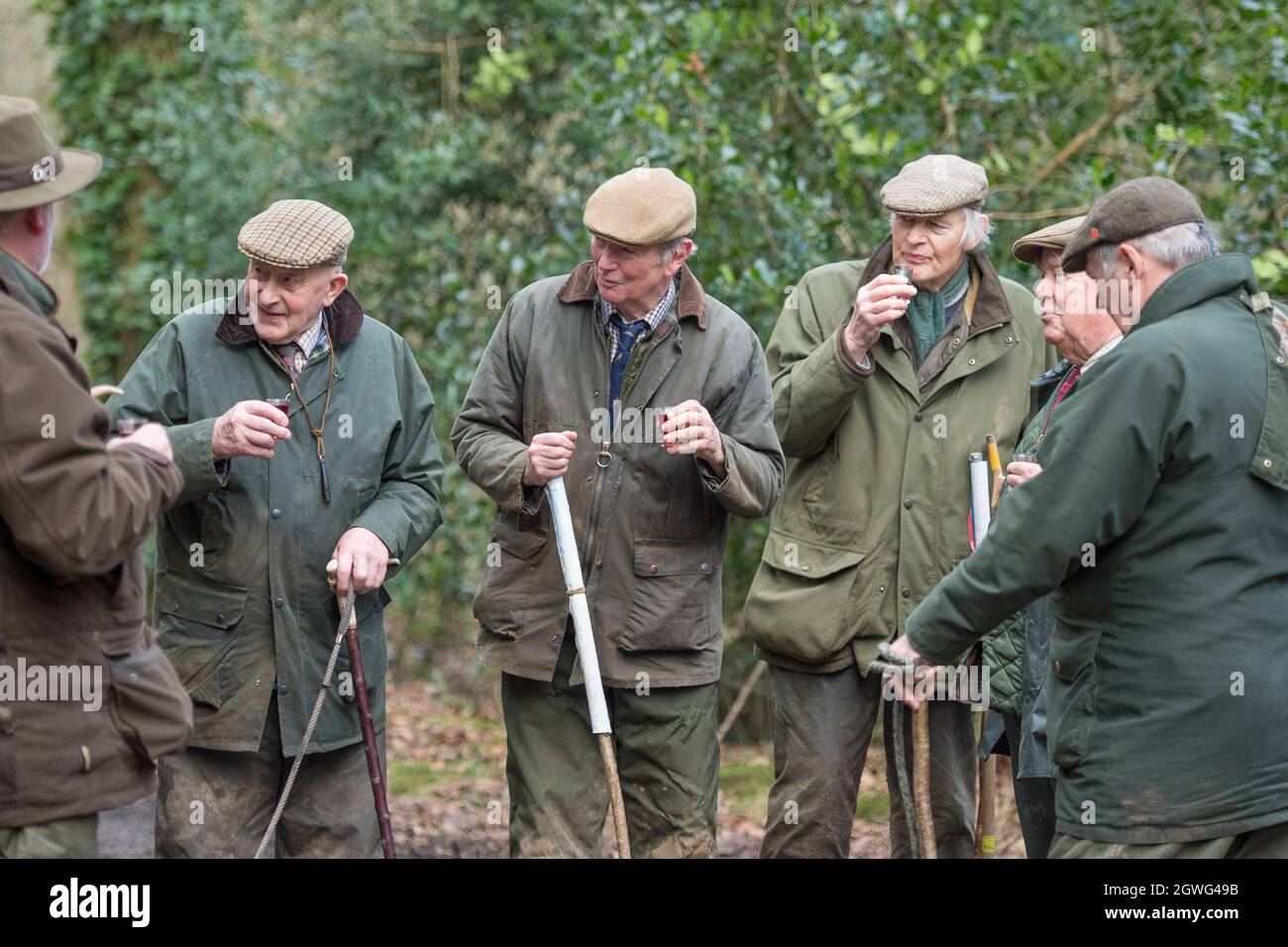 Group of beaters on a pheasant shoot in UK Stock Photo