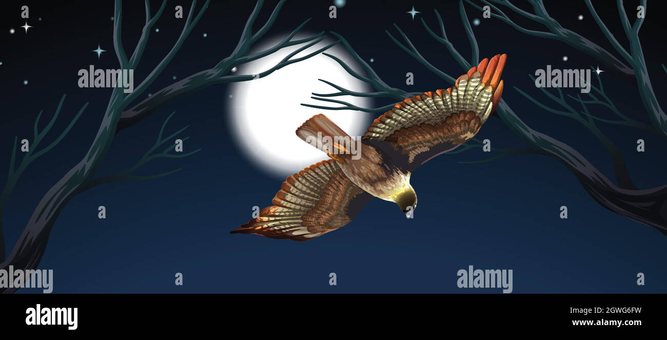 Bird flying night scene Stock Vector Image & Art Alamy