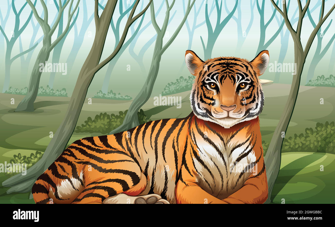 Panthera tigris balica hi-res stock photography and images - Alamy