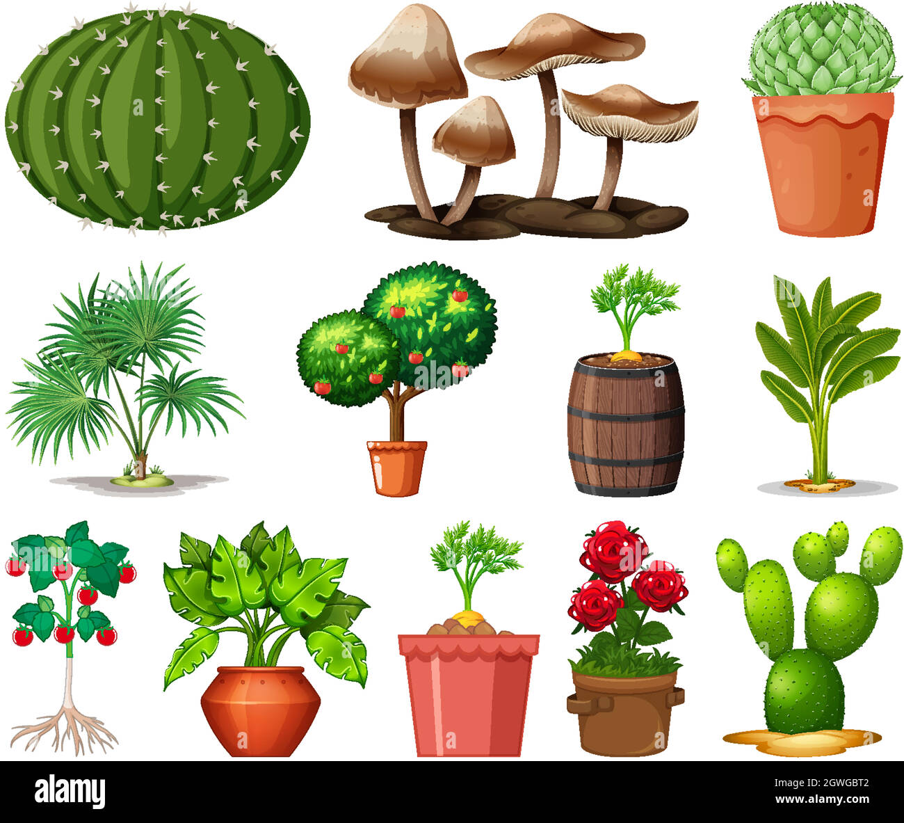 Set of different plants in pots isolated on white background Stock ...