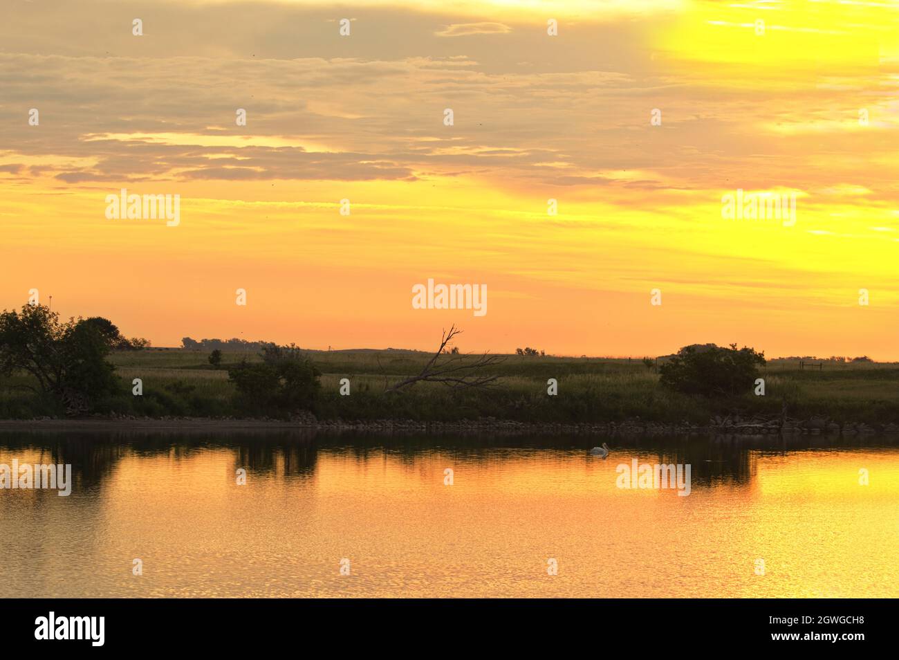 Marco Langon visual data 3