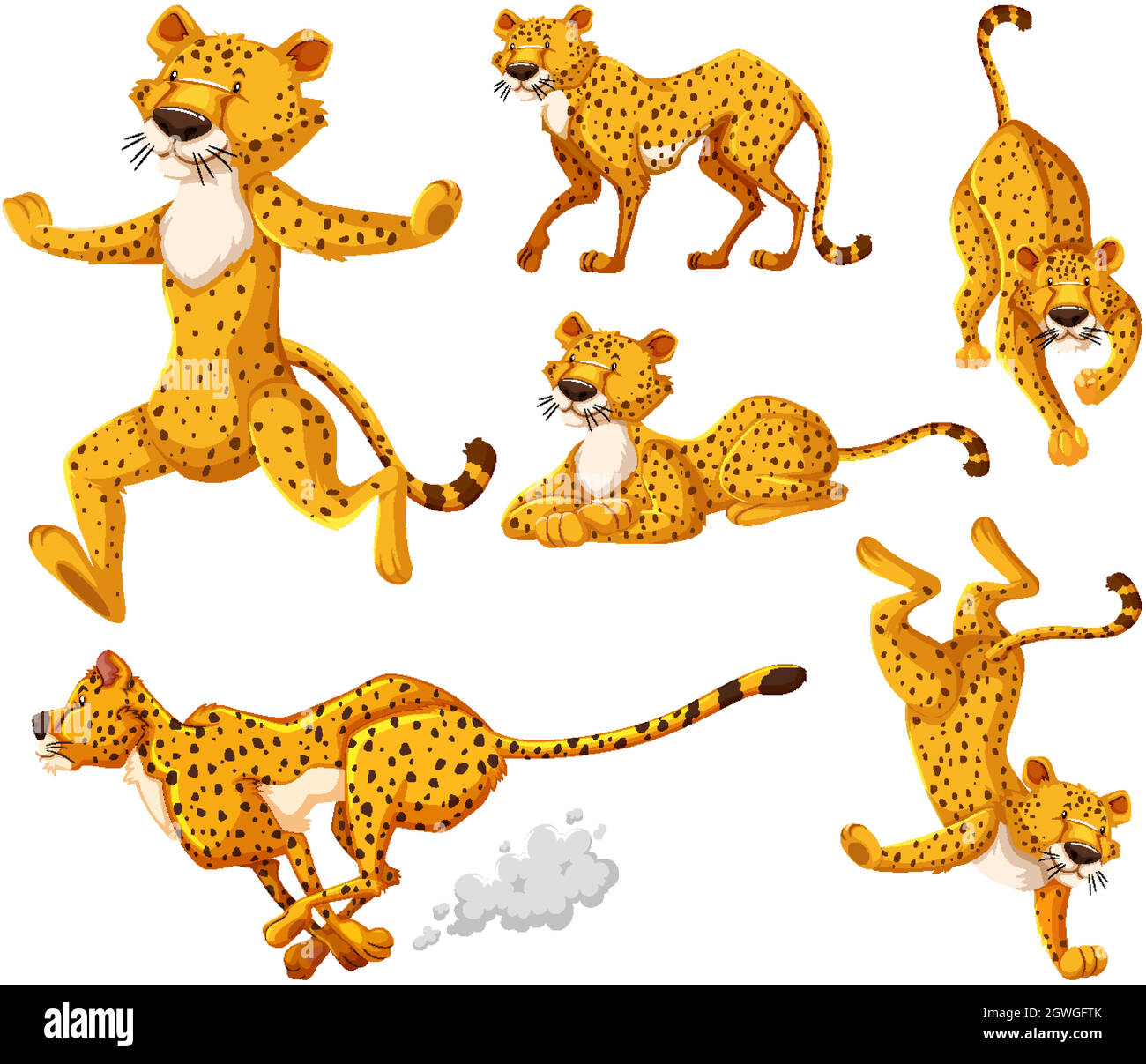 Set of cheetah cartoon character Stock Vector