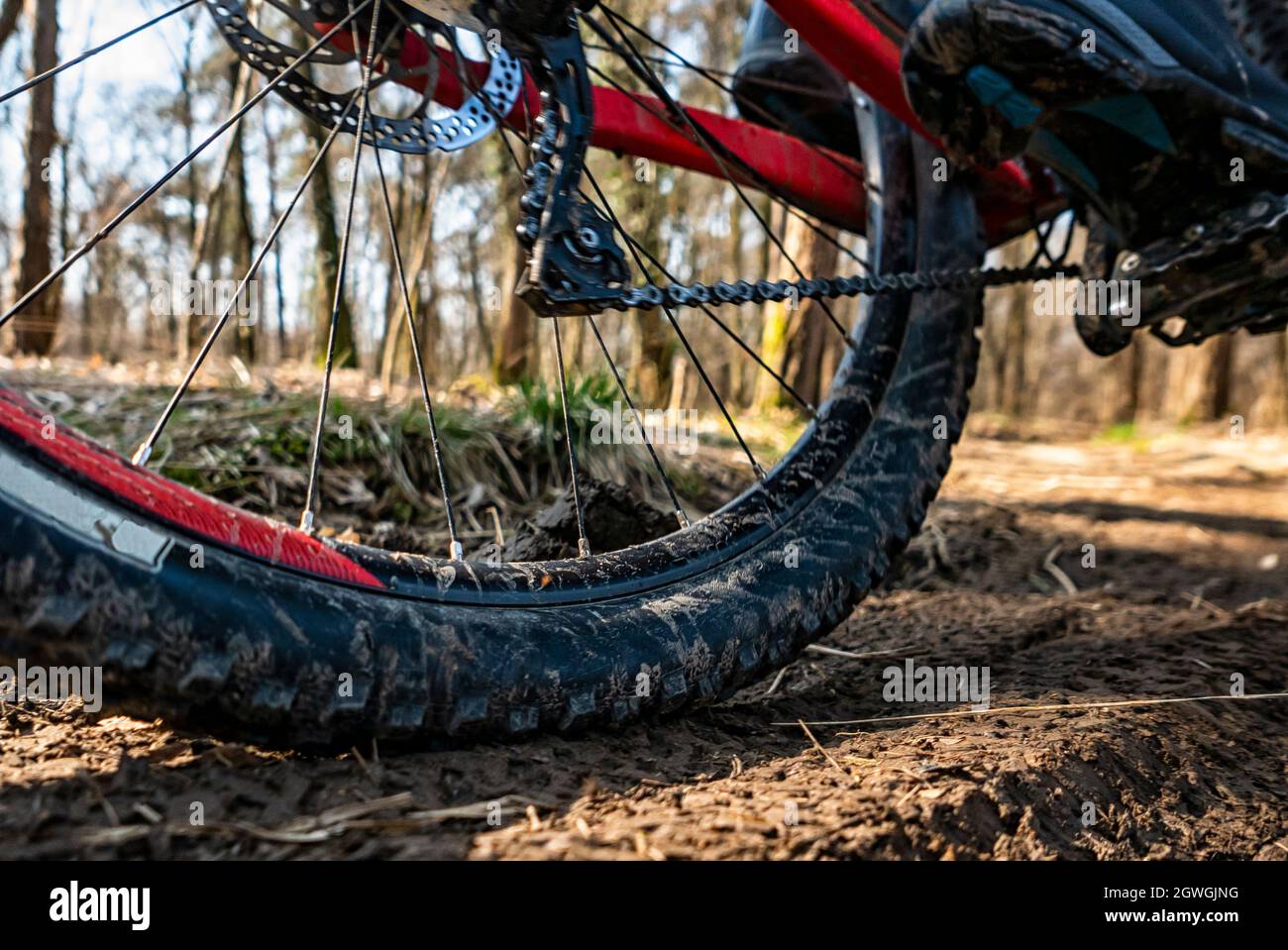 Mountain Bike Tyre Closeup On A Trail Stock Photo Alamy