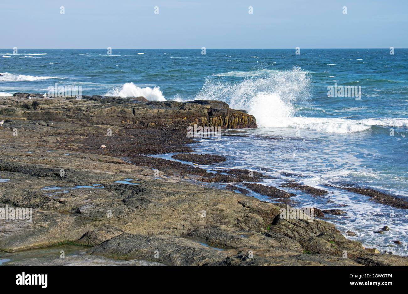 Ocean waves crashing into rocky shore at Brenton Point in Newport, Rhode Island -03 Stock Photo