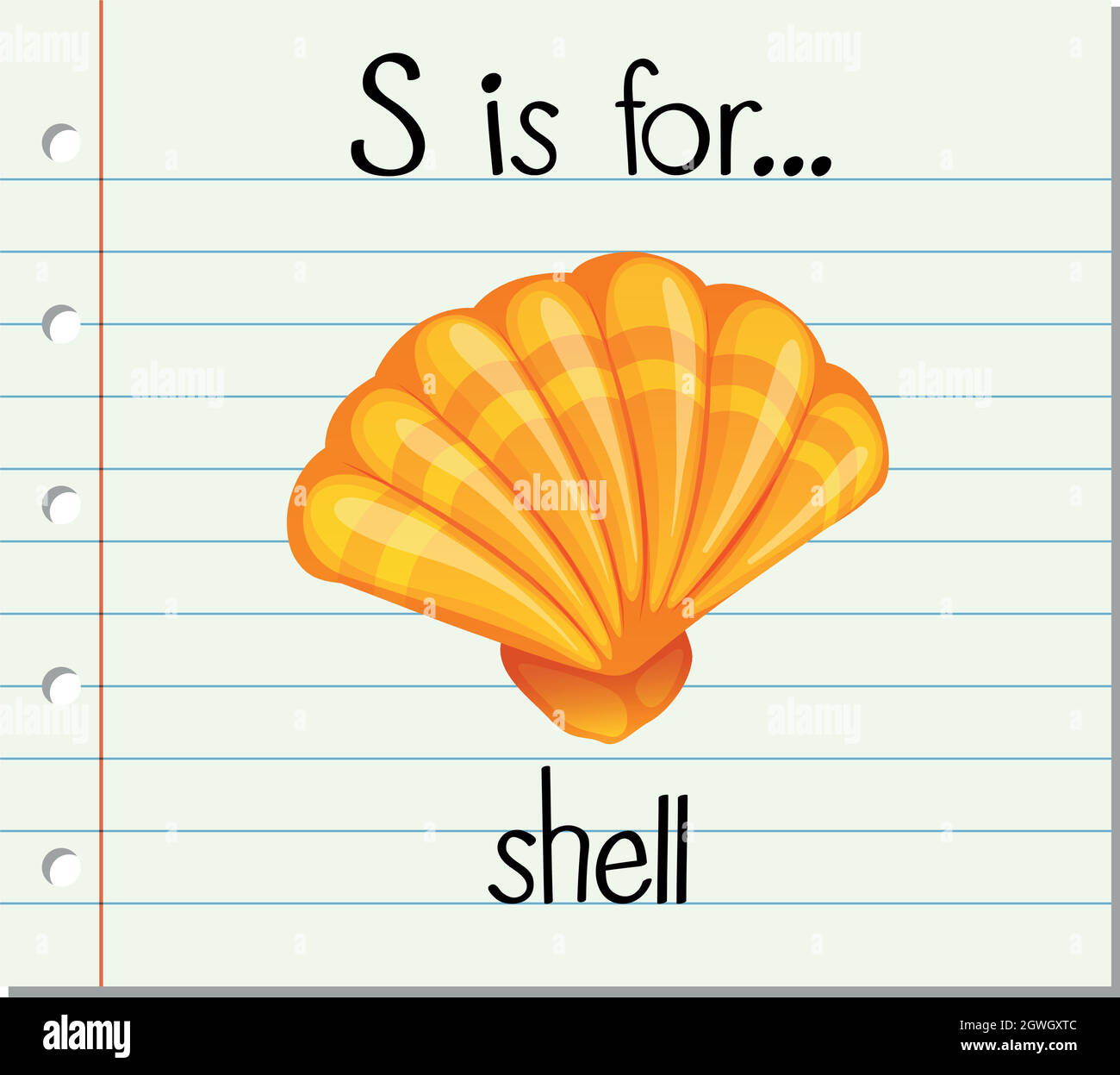 Flashcard letter S is for shell Stock Vector Image & Art - Alamy