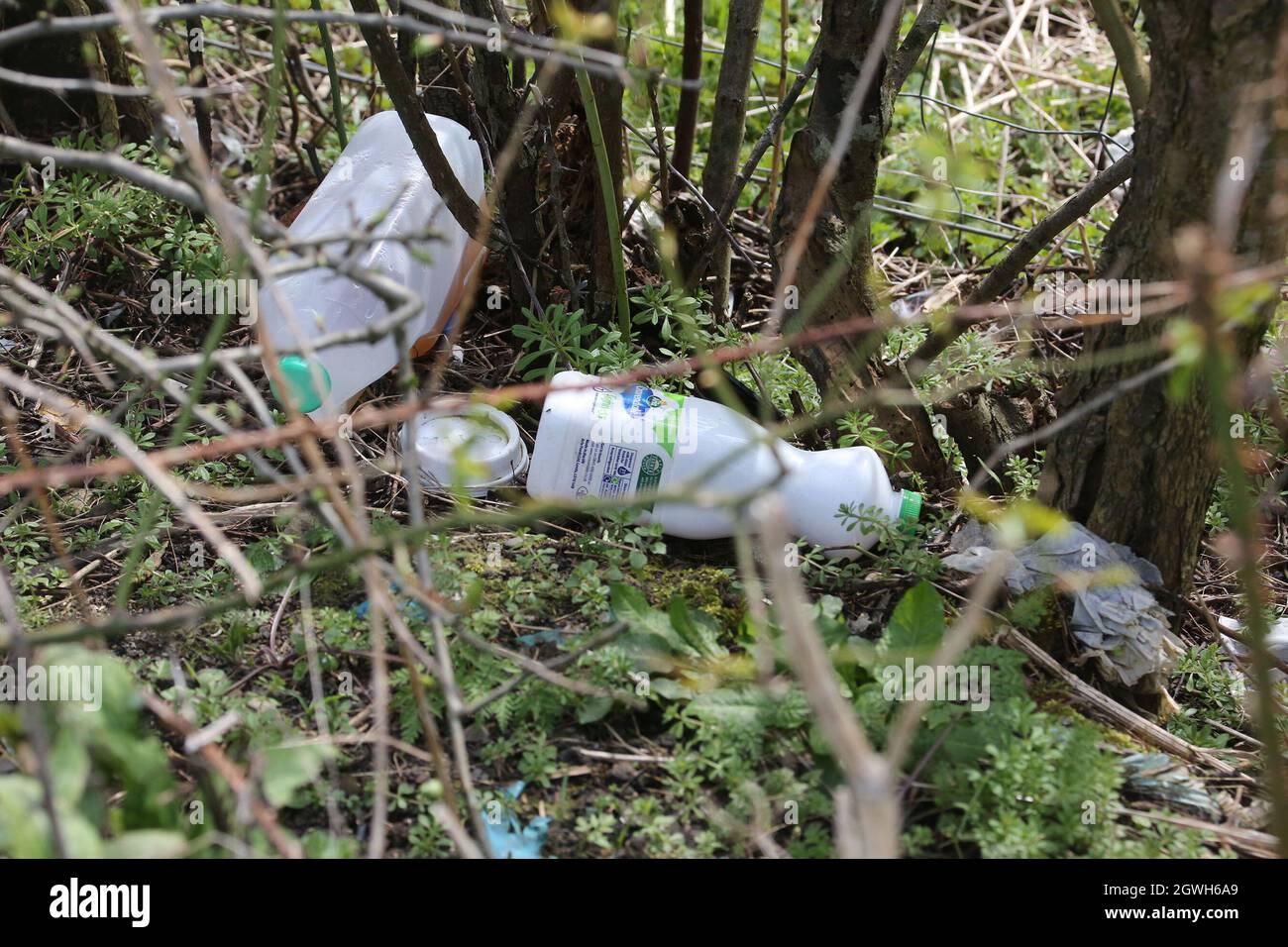 Discarded rubbish in grass verge by car park, Ayrshire, Scotland Stock