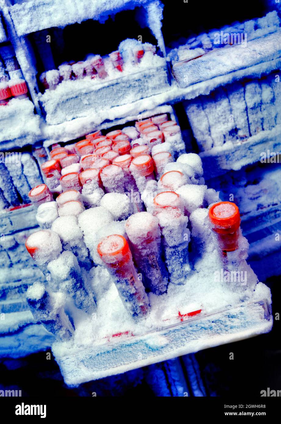 Medical research blood samples in freezer Stock Photo