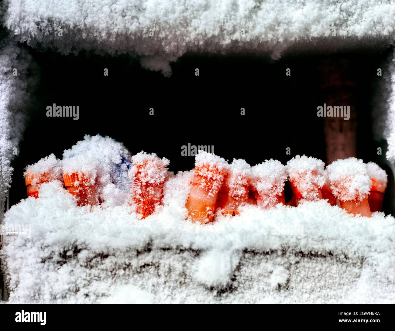 Medical research blood samples in freezer Stock Photo