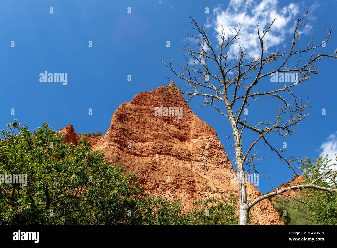 Rock peack and dry tree at the Las Medulas historic gold mining site near the town of Ponferrada in the province of Leon, Castile and Leon, Spain. Stock Photo