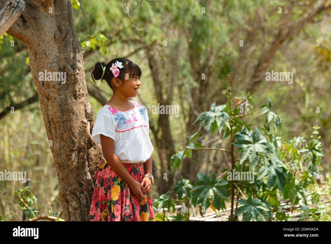 Indigenous cultures of oaxaca hi-res stock photography and images - Alamy
