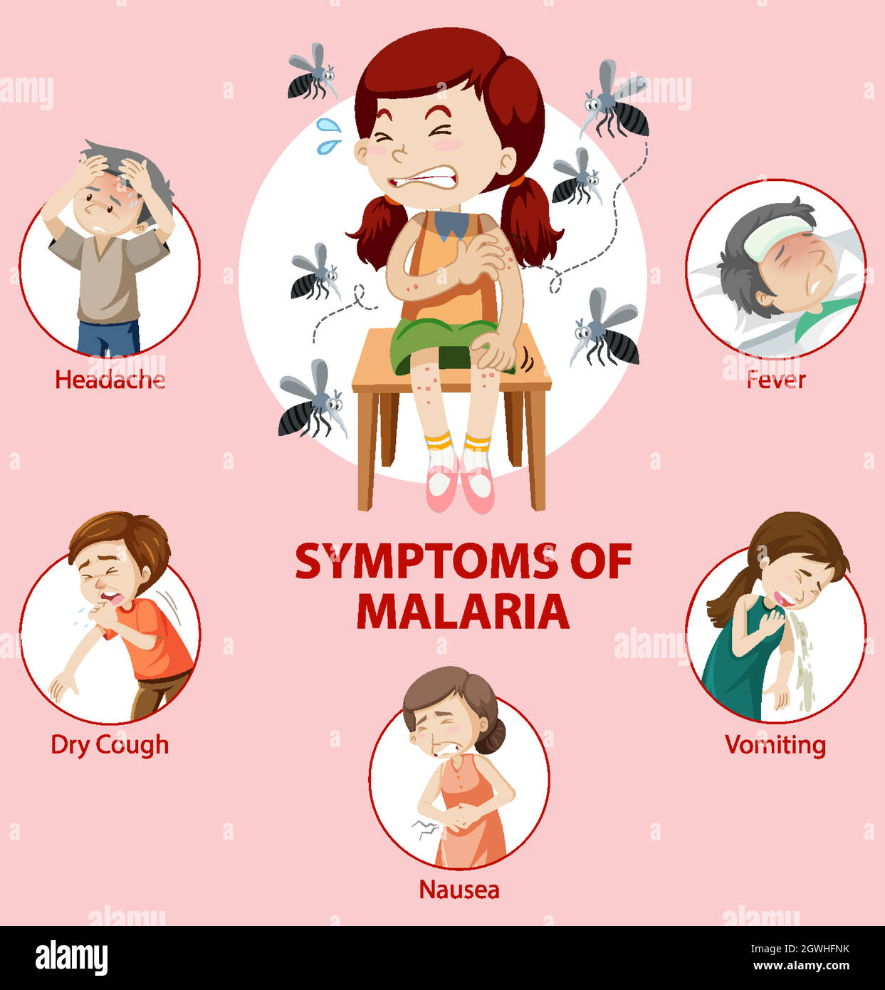 Malaria symptom information infographic Stock Vector Image & Art - Alamy