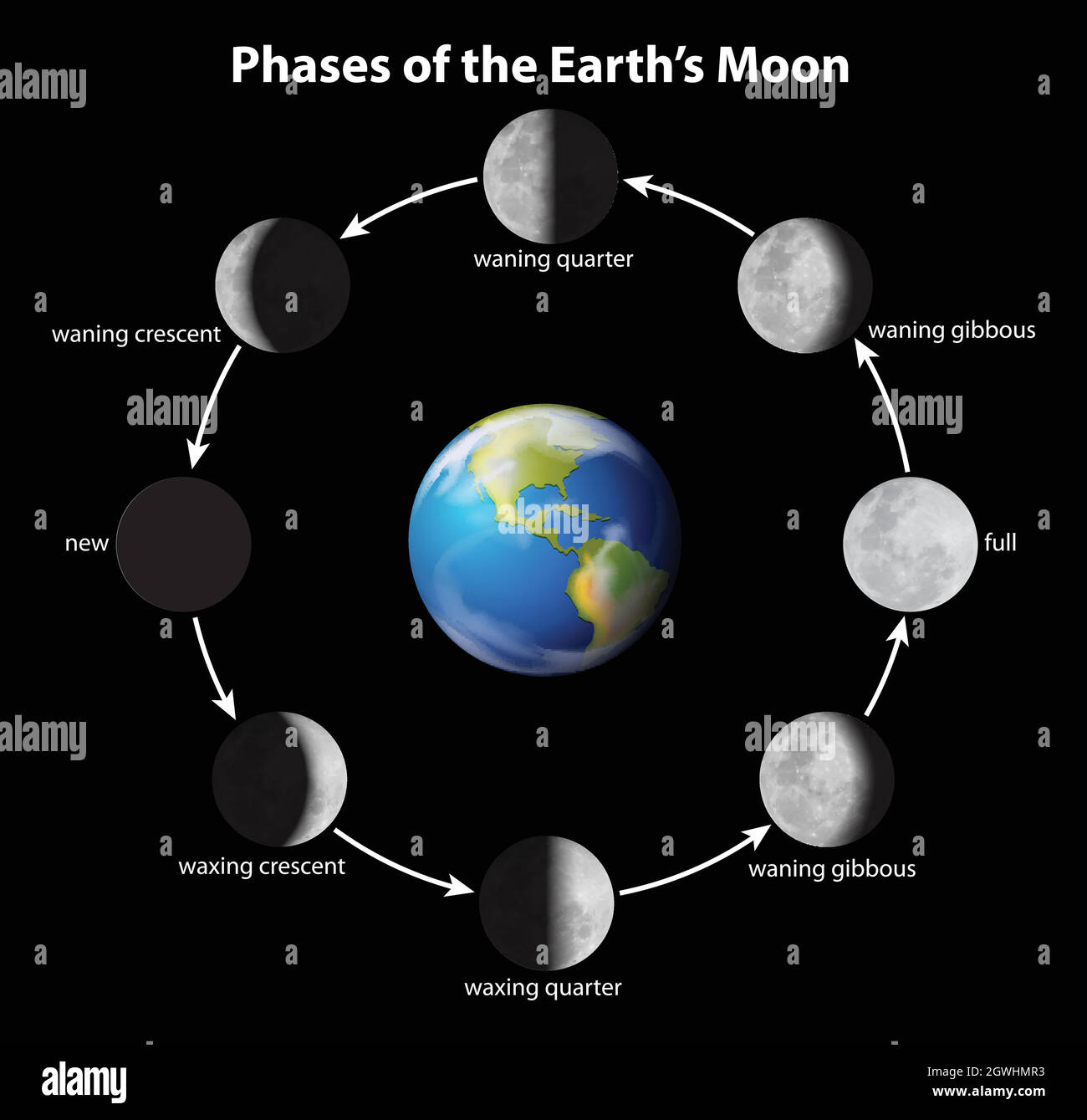 Phases of moon hi-res stock photography and images - Alamy