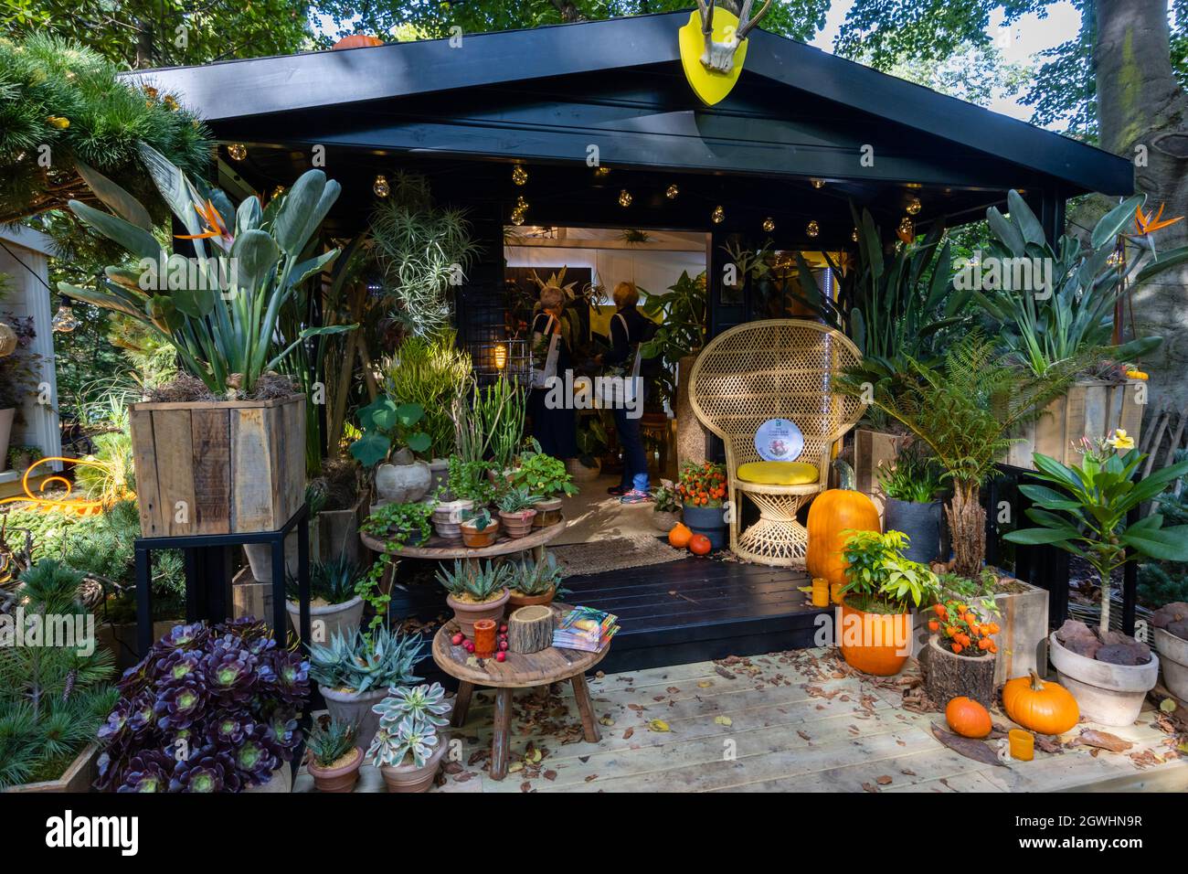 'Celebrate autumn' Best Houseplant Studio at RHS Chelsea Flower Show, held in the grounds of the Royal Hospital Chelsea, London SW3 in September 2021 Stock Photo