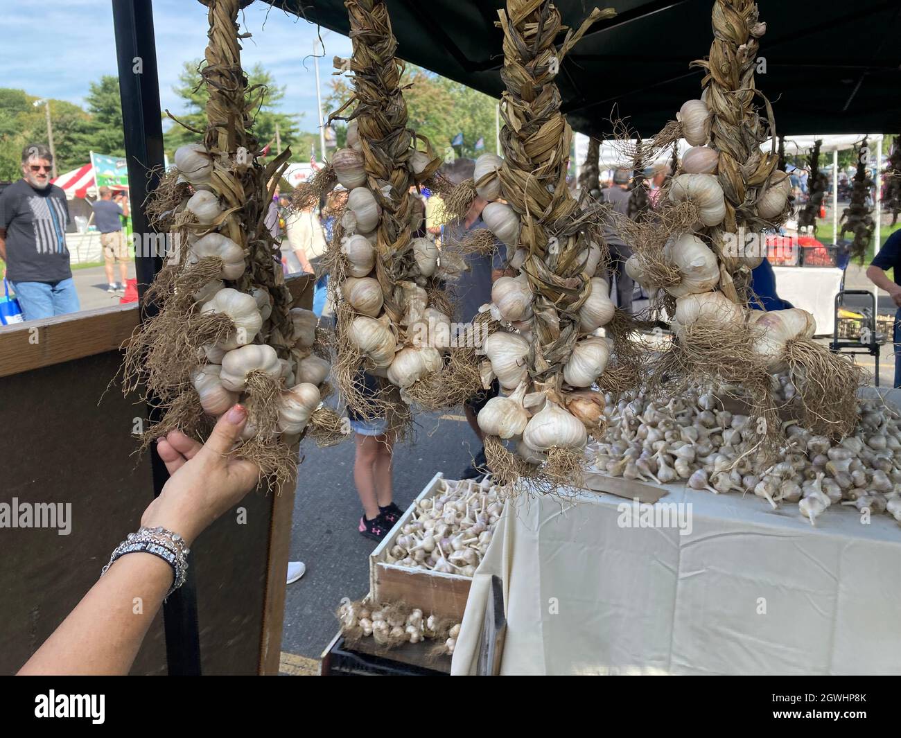 Woman reaching for garlic for sale at Saugerties Garlic Festival a.k.a