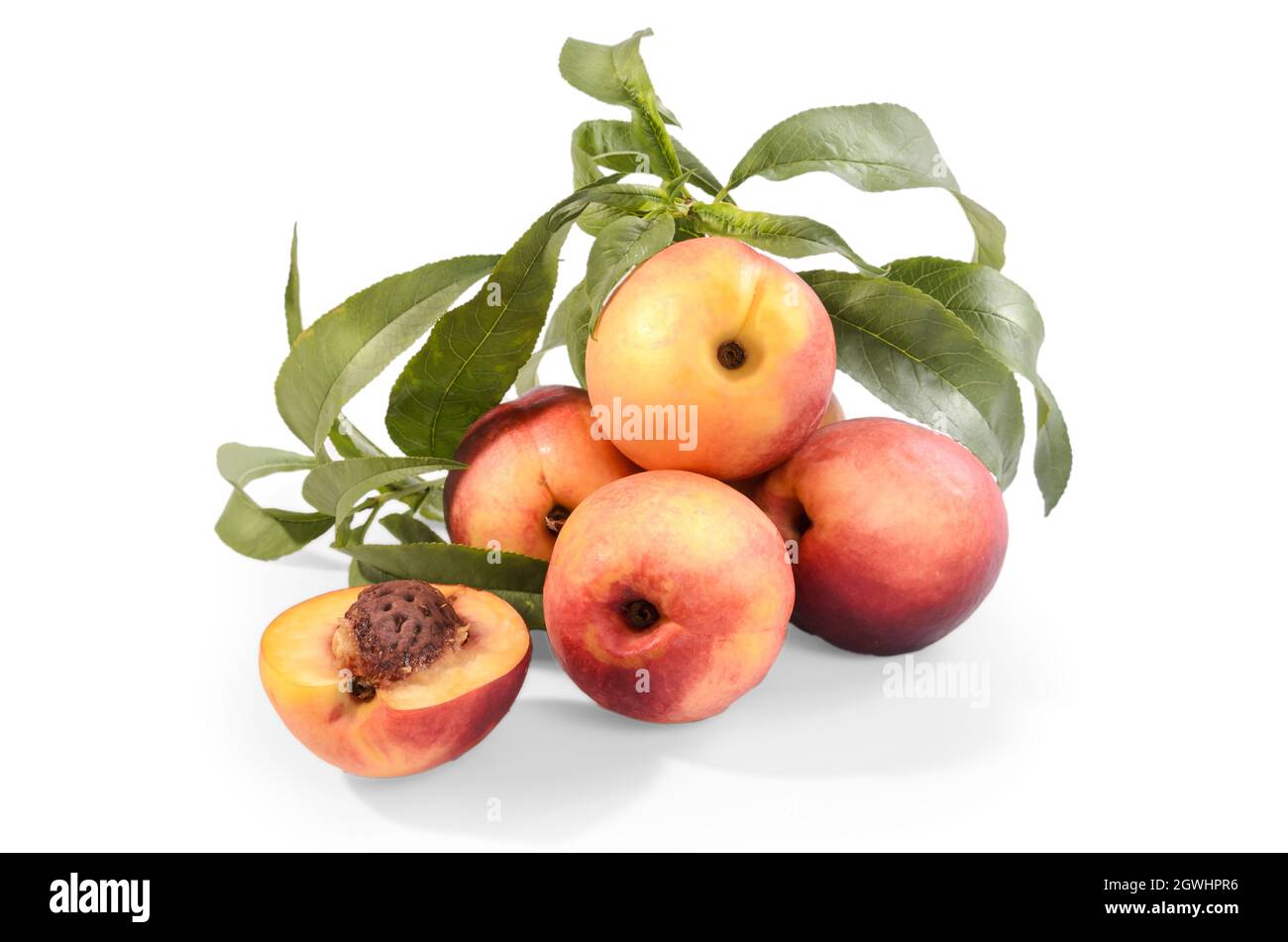 nectarines in bulk on a white background with soft shadow Stock Photo