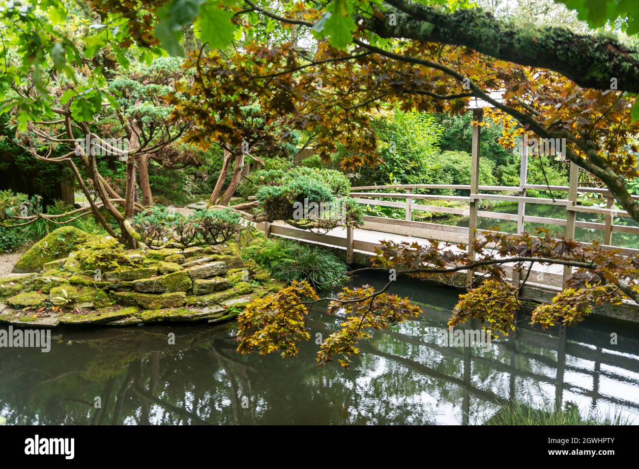 A view of a Japanese garden looking towards a bridge which traverses a pond which contains carp fish Stock Photo