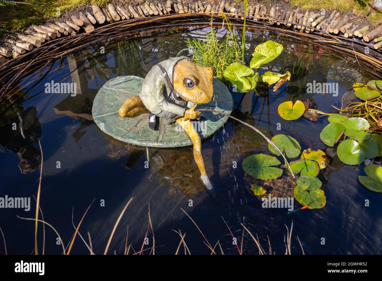https://c8.alamy.com/comp/2GWHR52/garden-ornament-sculpture-by-robert-james-workshop-of-jeremy-fisher-frog-fishing-in-a-pond-at-rhs-chelsea-flower-show-london-sw3-in-september-2021-2GWHR52.jpg