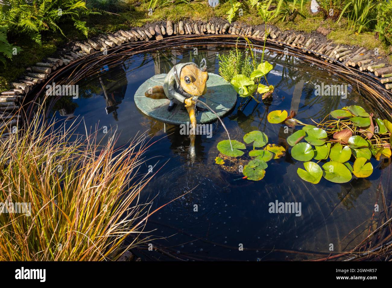 Garden ornament Sculpture by Robert James of Jeremy Fisher frog fishing in a pond at