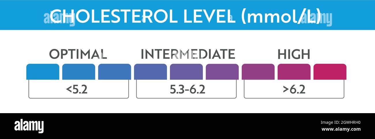 Cholesterol level meter indicator. Medical speedometer. Chat control concept presentation Stock Vector