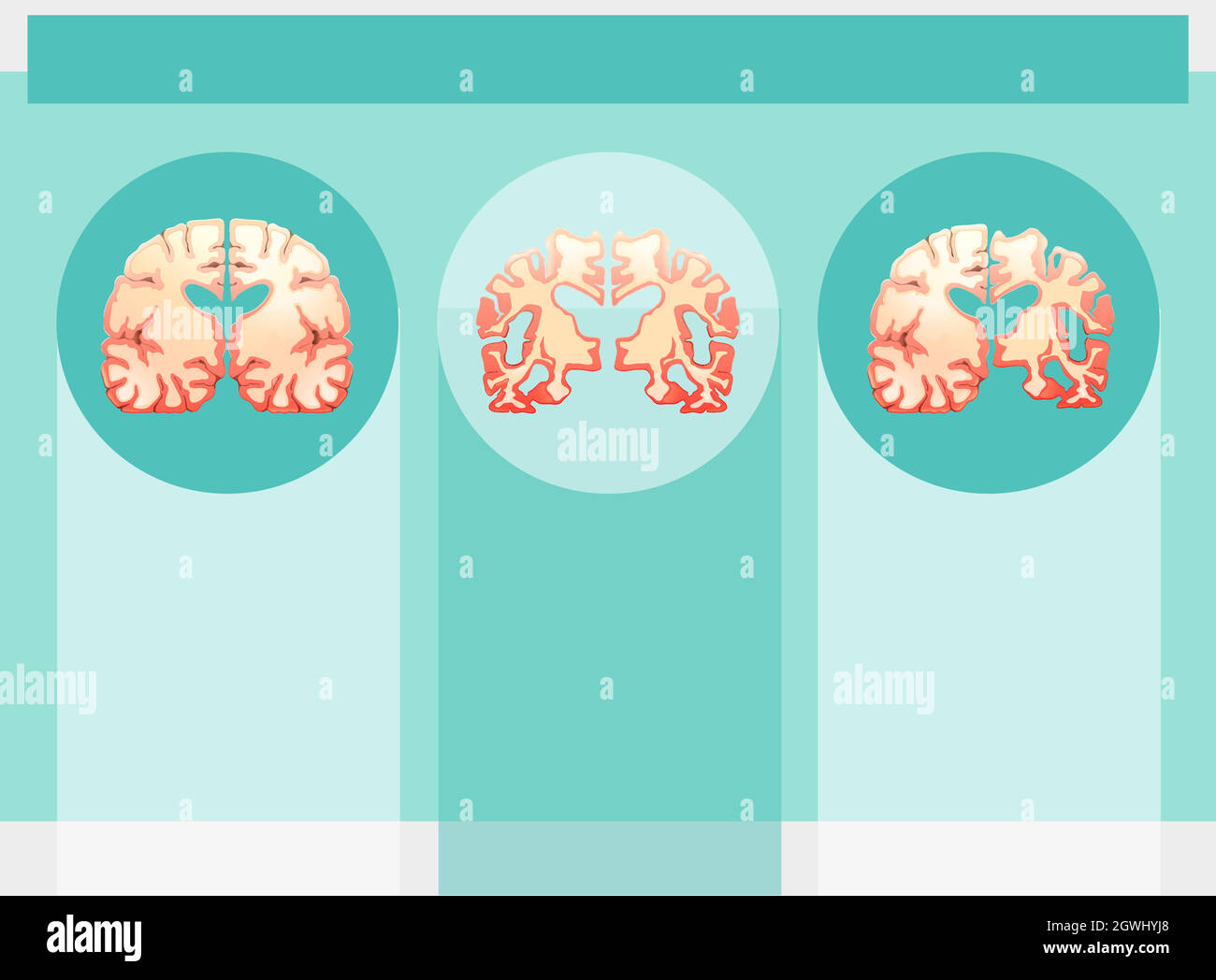 Background template with human brains Stock Vector