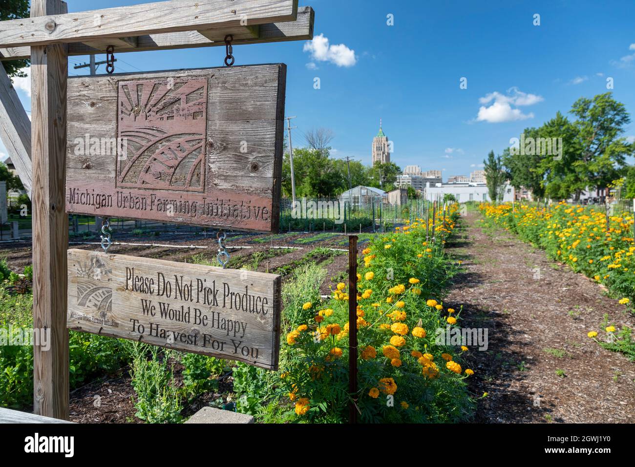Detroit, Michigan - A nonprofit farm in midtown Detroit, called the
