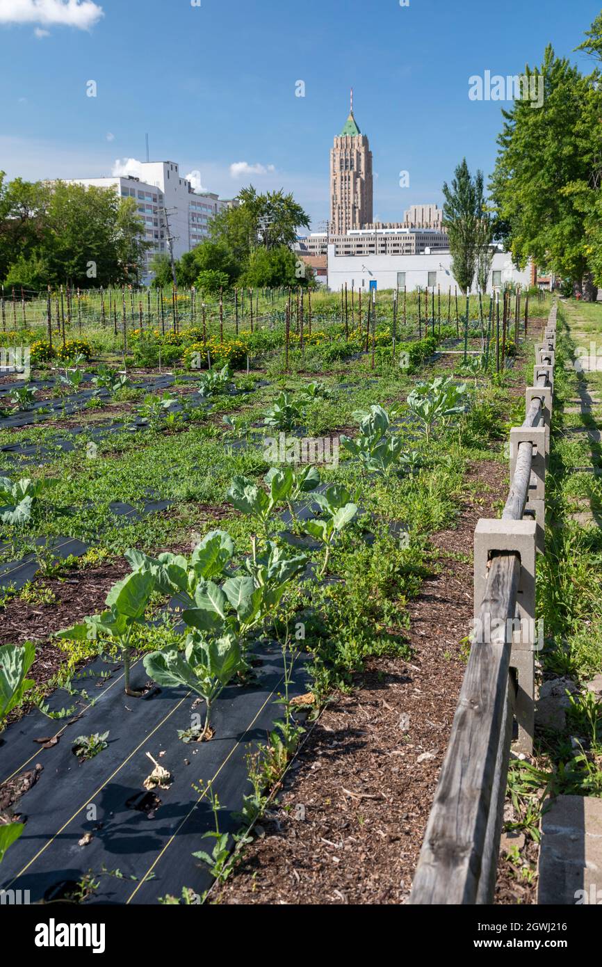 Detroit, Michigan - A nonprofit farm in midtown Detroit, called the