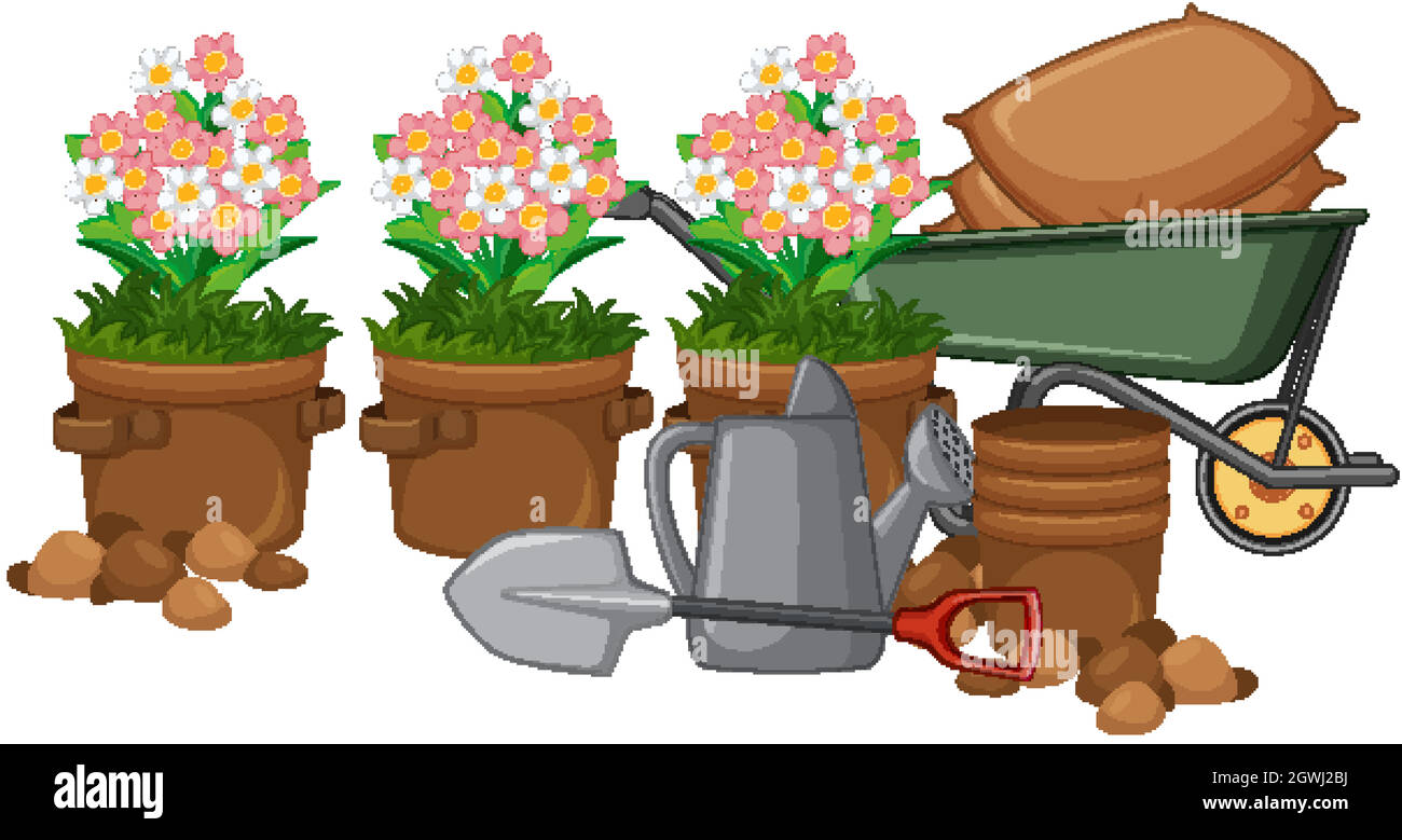 Beautiful flower in clay pots on white background Stock Vector Image ...