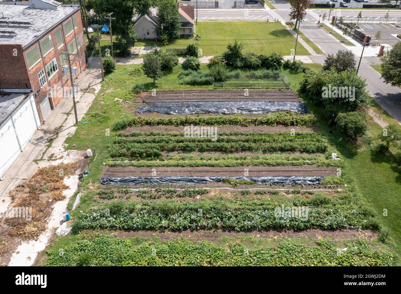 Detroit, Michigan A garden behind the Gleaners Food Bank warehouse