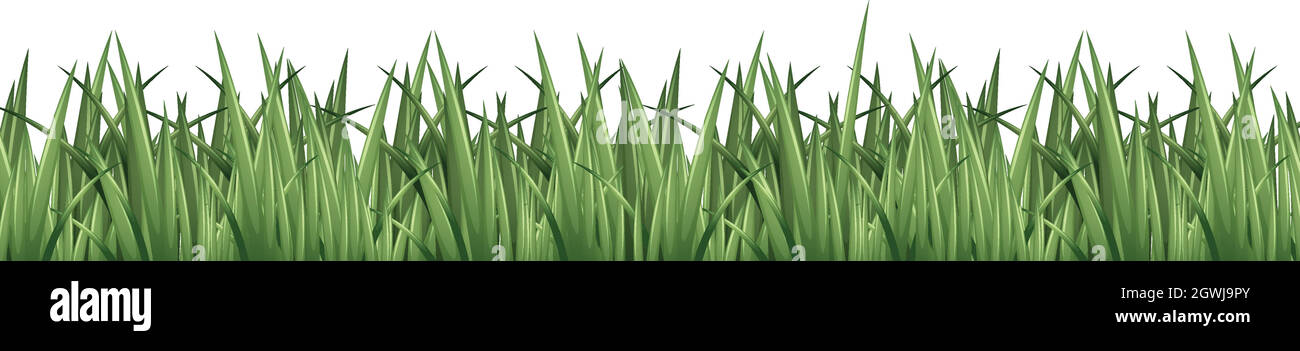 Seamless background design with green grass Stock Vector Image & Art ...