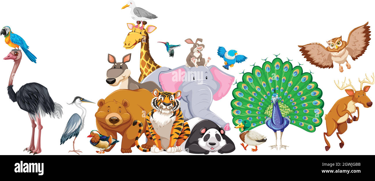 Wild animals standing in group Stock Vector Image & Art - Alamy Wild animals standing in group Stock Vector Image & Art - Alamy