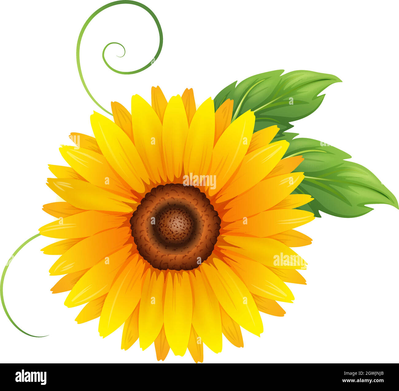 A fresh blooming yellow flower Stock Vector