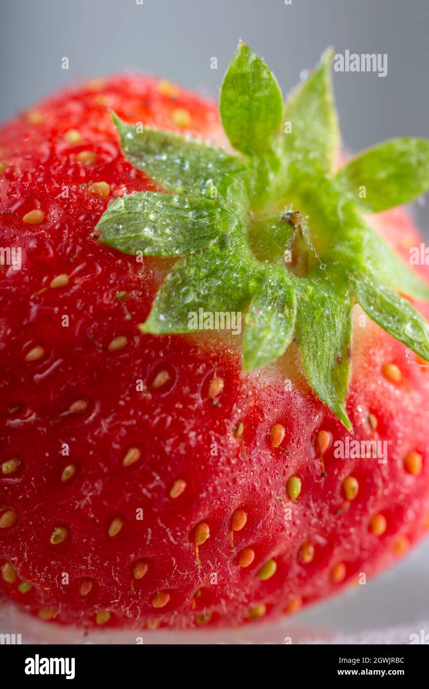Single fresh strawberry with water drops - close up view Stock Photo ...