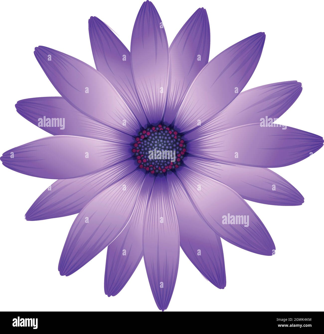 A fresh purple flower Stock Vector