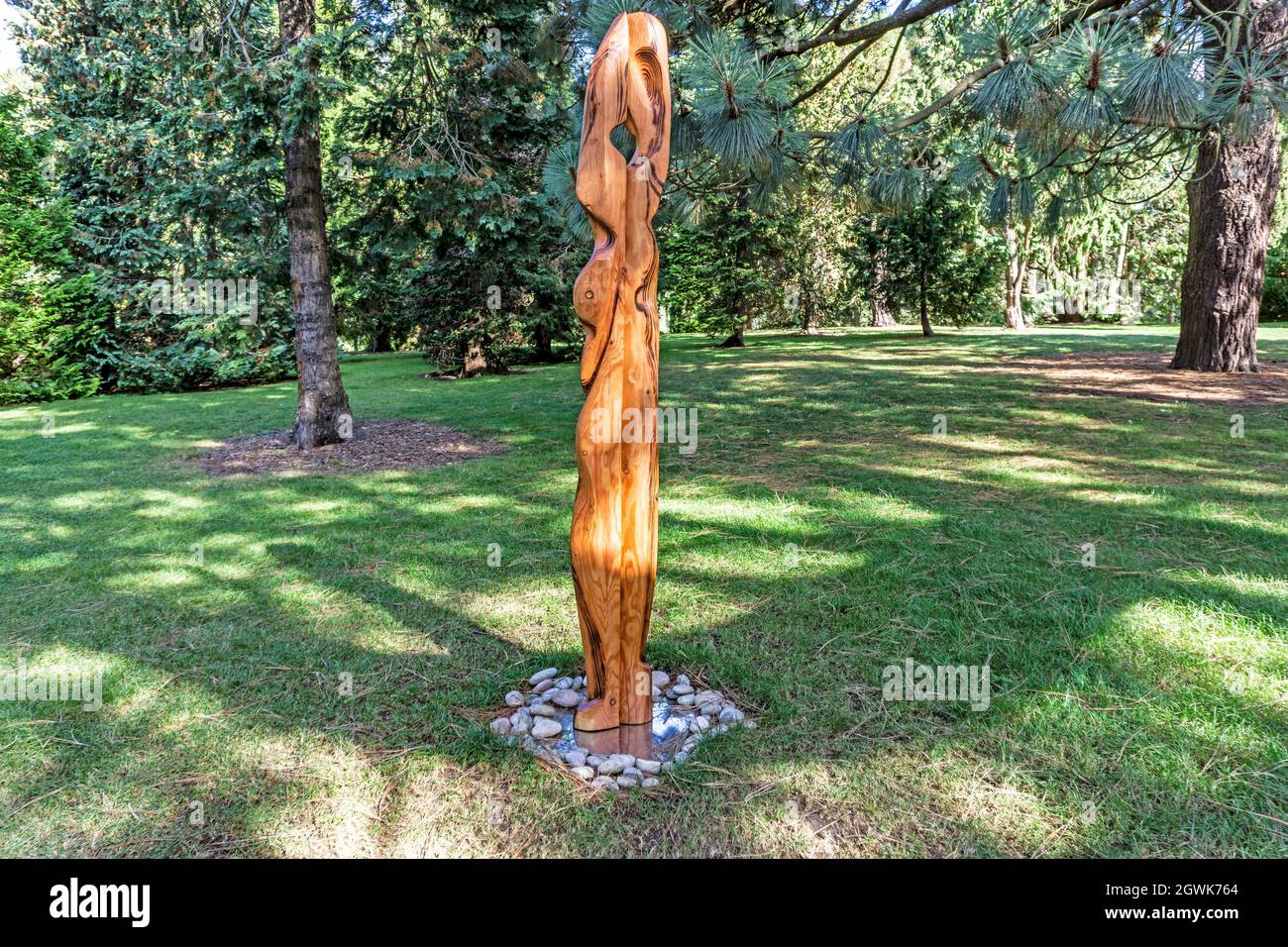 Close Whisper, A sculpture by Sara Cunningham-Bell, part of the Sculpture in Context exhibition in the National Botanic Gardens, Dublin.Irish Larch., Stock Photo