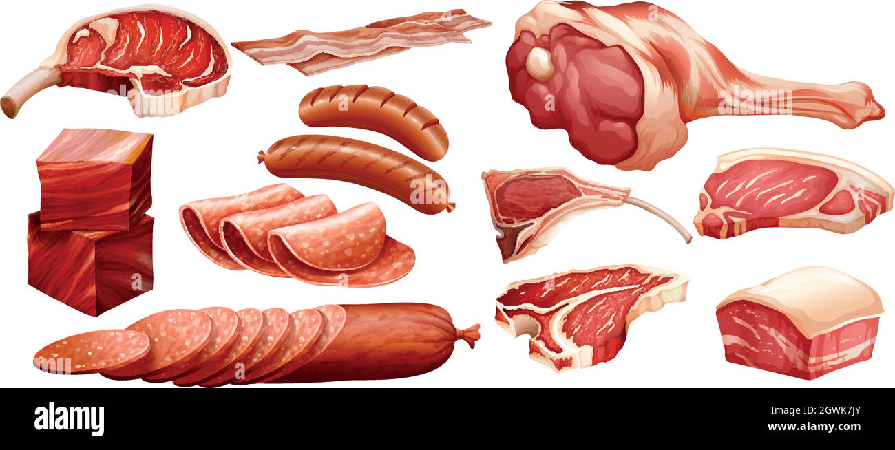 Set of different meats Stock Vector