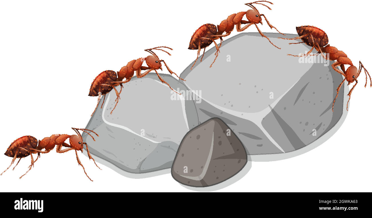 Many ants on stones on white background Stock Vector
