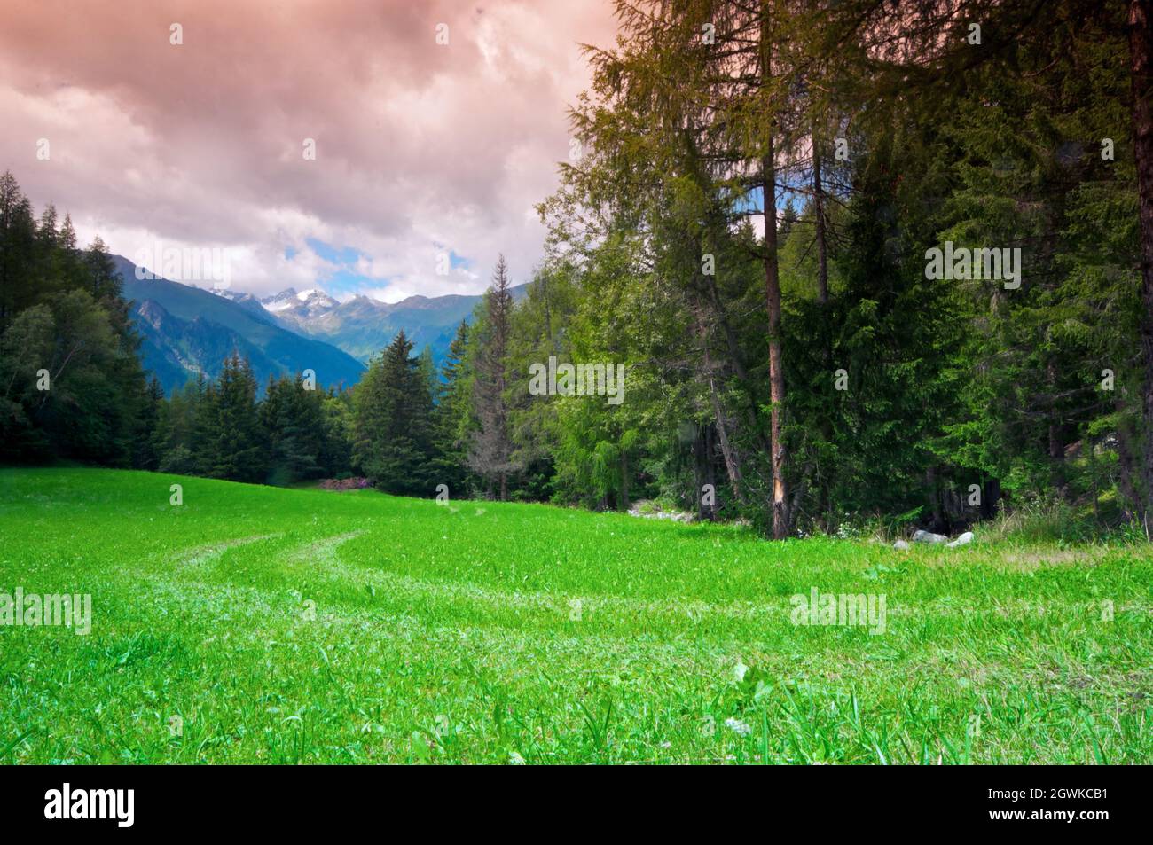 Idyllic view in the Swiss alps. Stock Photo