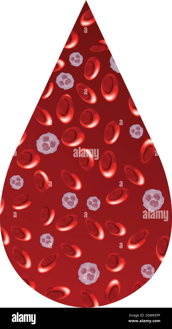Close up red blood cells in droplet Stock Vector