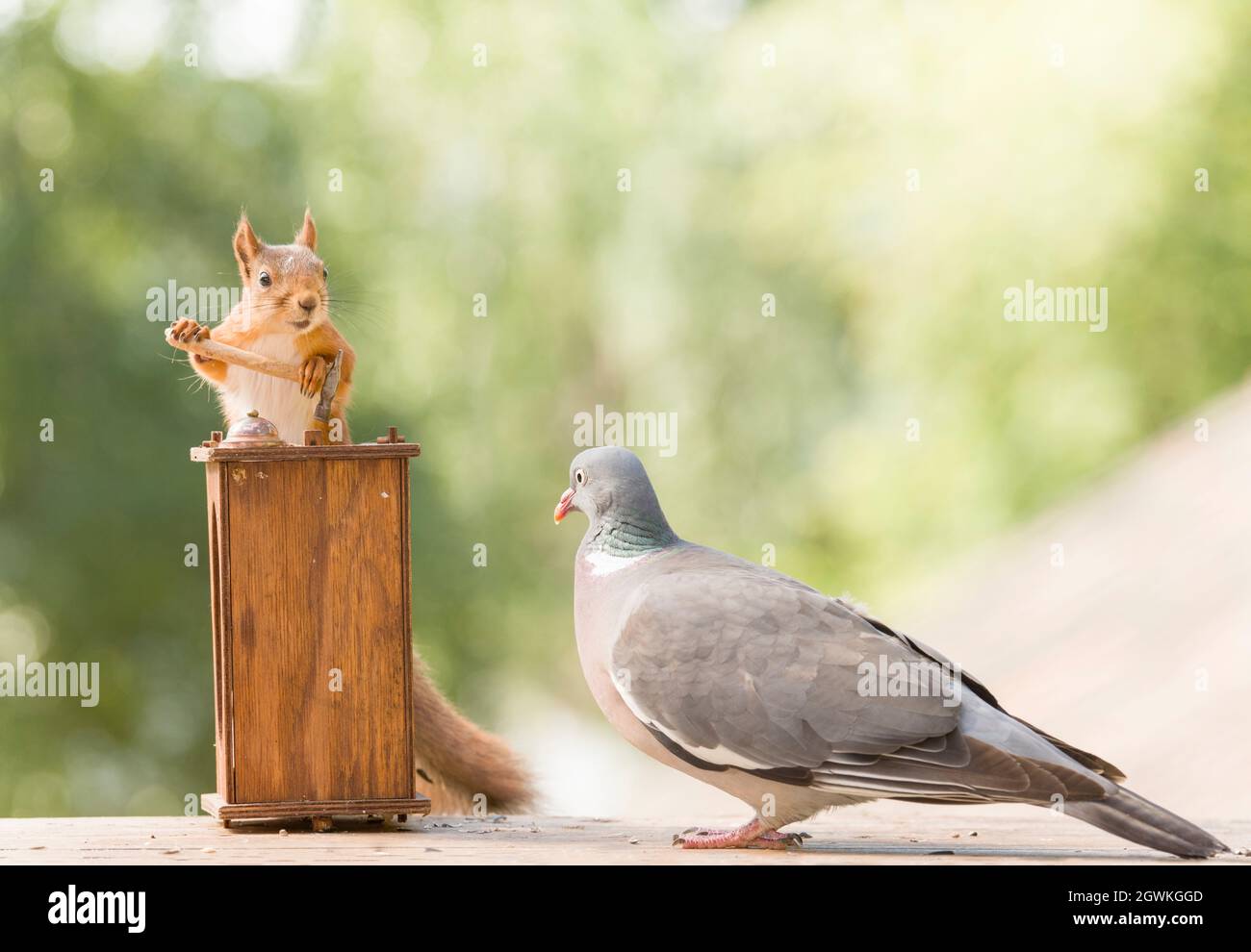Judge behind desk hi-res stock photography and images - Alamy