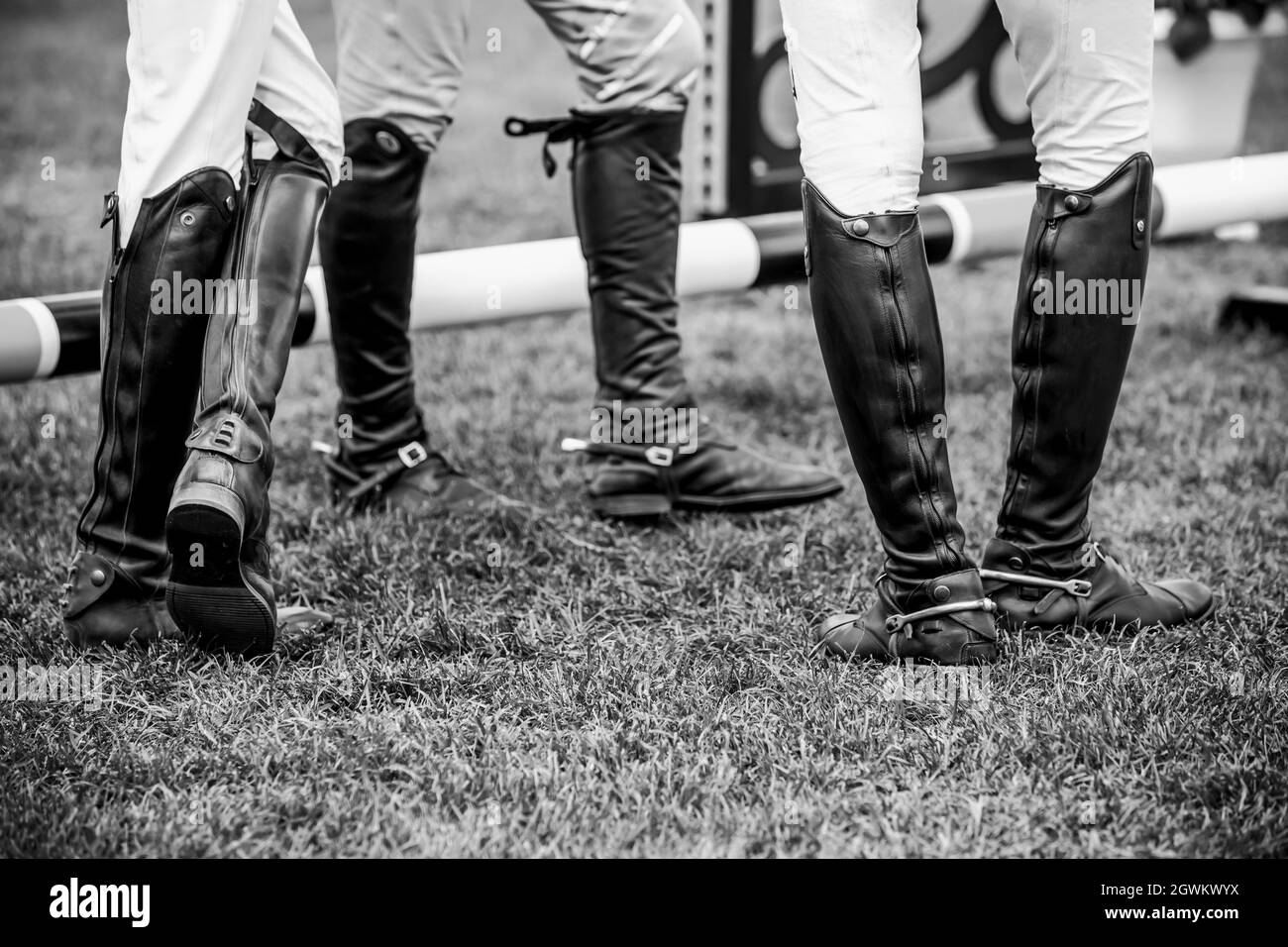 Show jumping competition hires stock photography and images Alamy