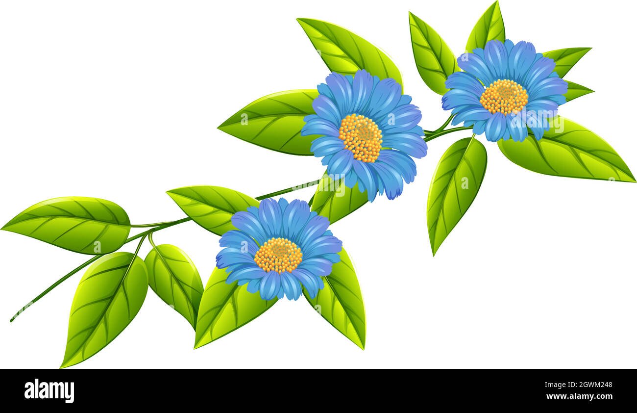 Blue flowers with green leaves Stock Vector