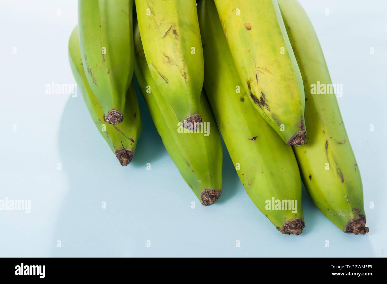 Organic Green Banana Delicious Tropical Fruit - Musa Paradisiaca Stock Photo