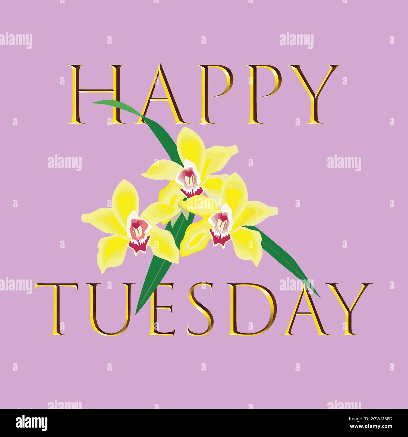 Happy Tuesday Vector Template. Modern vector template for poster ...