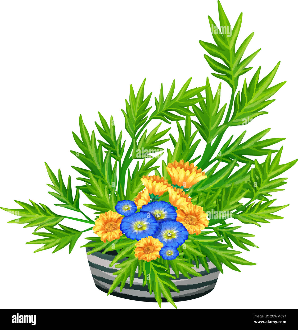 Fern flowers Cut Out Stock Images & Pictures - Page 2 - Alamy